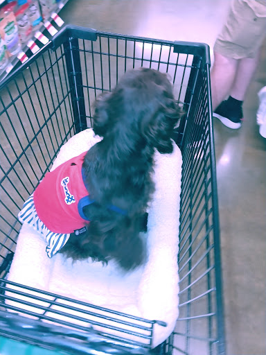 Pet Supply Store «Pet Supplies Plus», reviews and photos, 209 Towne Dr, Elizabethtown, KY 42701, USA