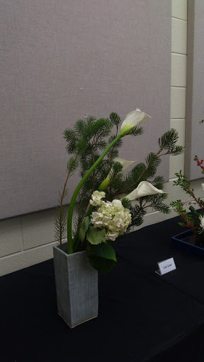 Recreation Center «Tom Muehlenbeck Center», reviews and photos, 5801 W Parker Rd, Plano, TX 75093, USA