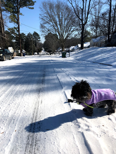 Movie Theater «Landmark Theatres Midtown Art Cinema», reviews and photos, 931 Monroe Dr NE, Atlanta, GA 30308, USA