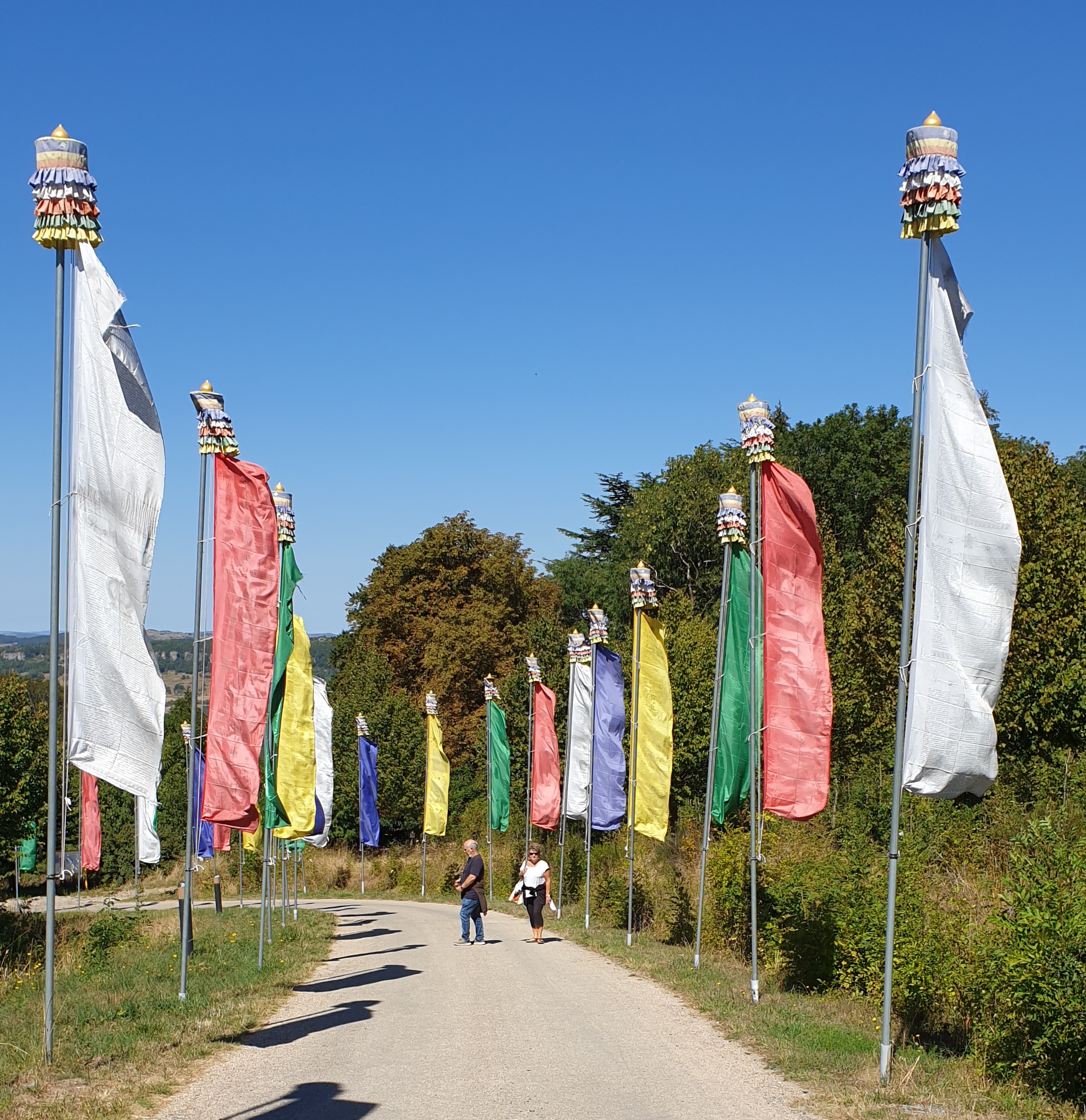 Photo n° 14 de l'avis de Mag. fait le 05/09/2020 à 17:01