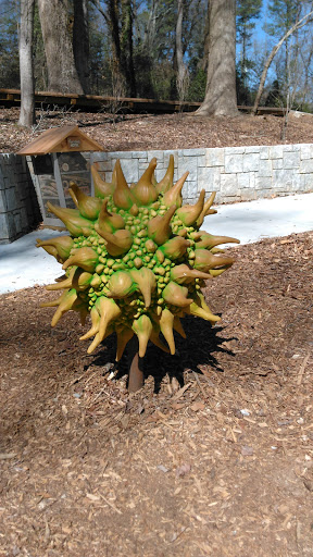 Nature Preserve «Fernbank Forest», reviews and photos, 767 Clifton Rd, Atlanta, GA 30307, USA