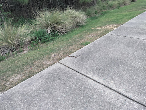 Golf Resort «Golf Club of Houston», reviews and photos, 5860 Wilson Rd, Humble, TX 77396, USA