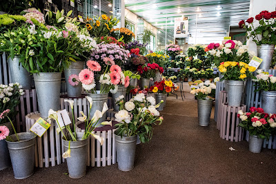 La Maison des Fleurs - Jean Donzier | Fleuriste Annecy à Annecy