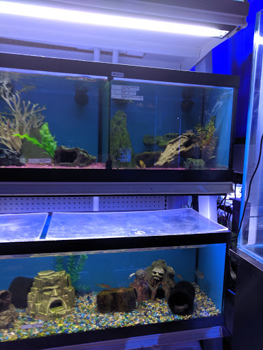 Pet Store «Aquarium Designs», reviews and photos, 15229 San Pedro Ave, San Antonio, TX 78232, USA