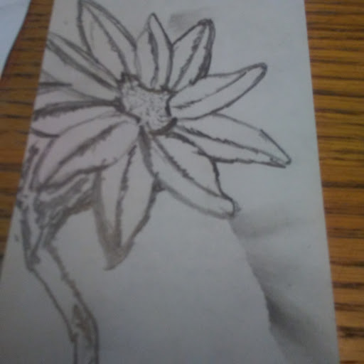 Social Services Organization «Fathers Heart Street Ministry», reviews and photos