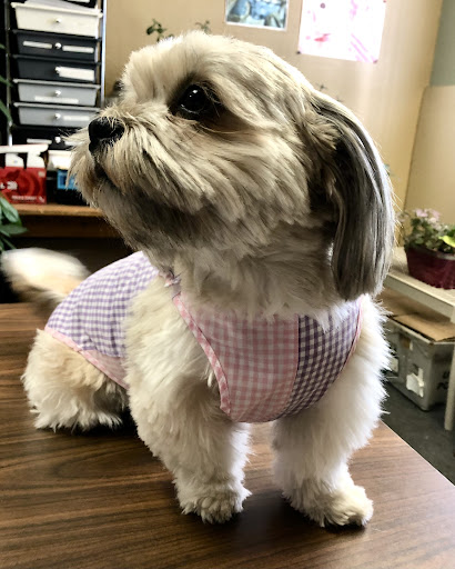 Alliel’s Alteration Tailor Studio