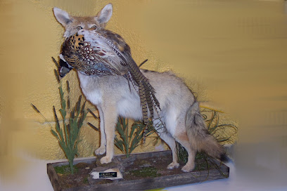 Heads Up Taxidermy