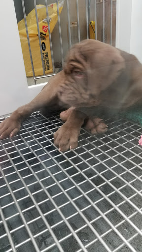 Pet Store «Petland», reviews and photos, 5470 Dixie Hwy, Fairfield, OH 45014, USA