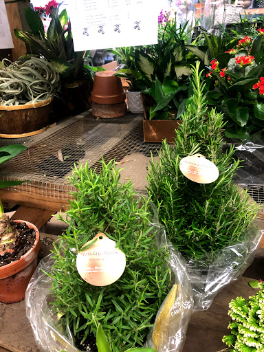 Florist «Sieck-Wright Floral Products», reviews and photos, 231 Monmouth St, Hightstown, NJ 08520, USA