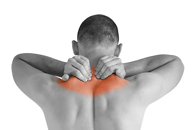 Reviews of Kevin Reese Physiotherapy in Durham - Physical therapist