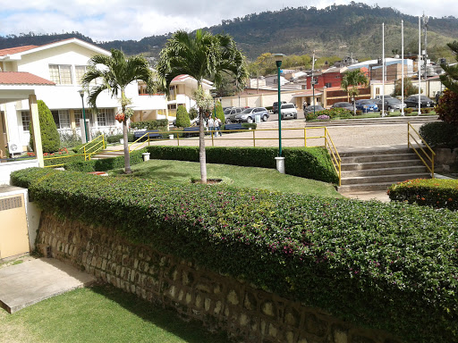 Escuelas de homeopatia en Tegucigalpa