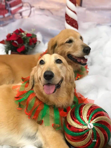 Pet Groomer «Woof Gang Bakery & Grooming, The Villages», reviews and photos, 3682 Meggison Rd, The Villages, FL 32163, USA