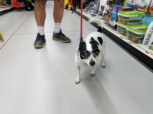 Pet Supply Store «Mini Pet Mart», reviews and photos, 2630 US-101, Florence, OR 97439, USA