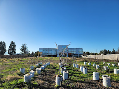 Centro de Estudios Avanzados en Fruticultura CEAF