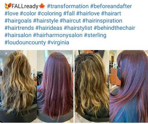 Hair Salon «Hair Harmony Salon», reviews and photos, 46400 Benedict Dr #9, Sterling, VA 20164, USA