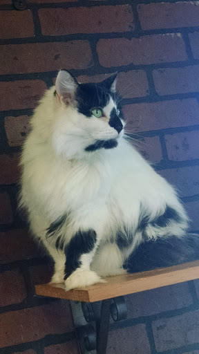 Pet Supply Store «Pet Supplies Plus», reviews and photos, 2057 S Telegraph Rd, Bloomfield Hills, MI 48302, USA