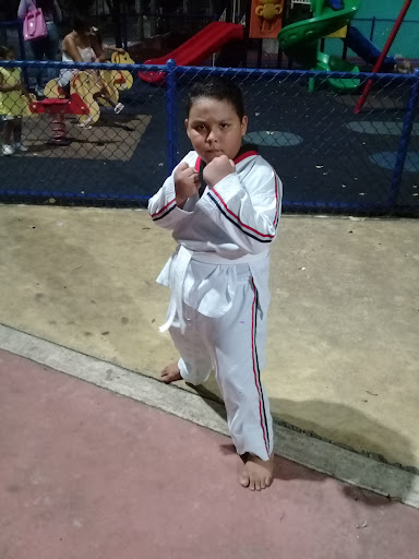 Irvin's Taekwondo