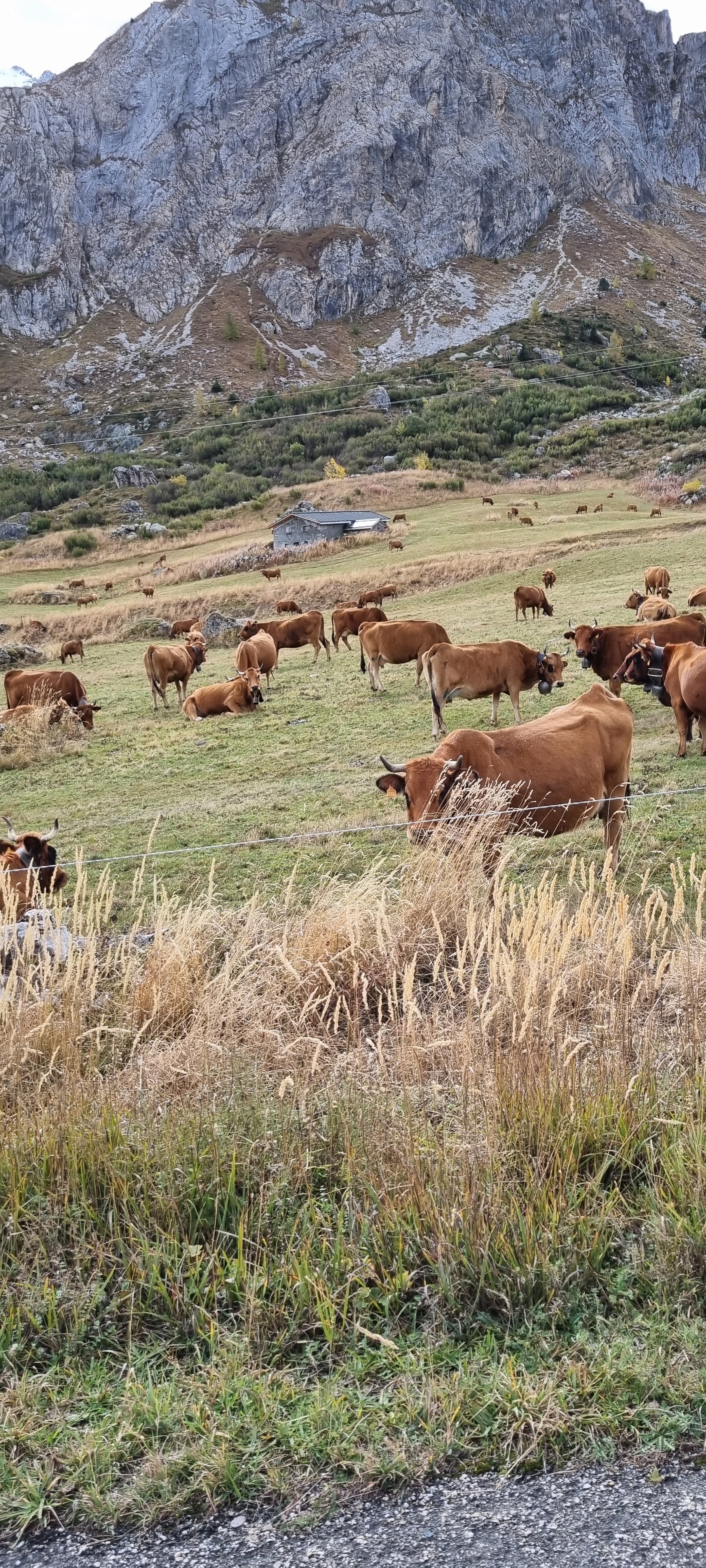 Photo n° 44 de l'avis de Raymond.a fait le 24/10/2023 à 19:44