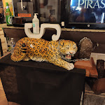 Photo n°1 de l'avis de Roberta.e fait le 19/12/2022 à 16:00 sur le  Trattoria Il pirata à Bosa