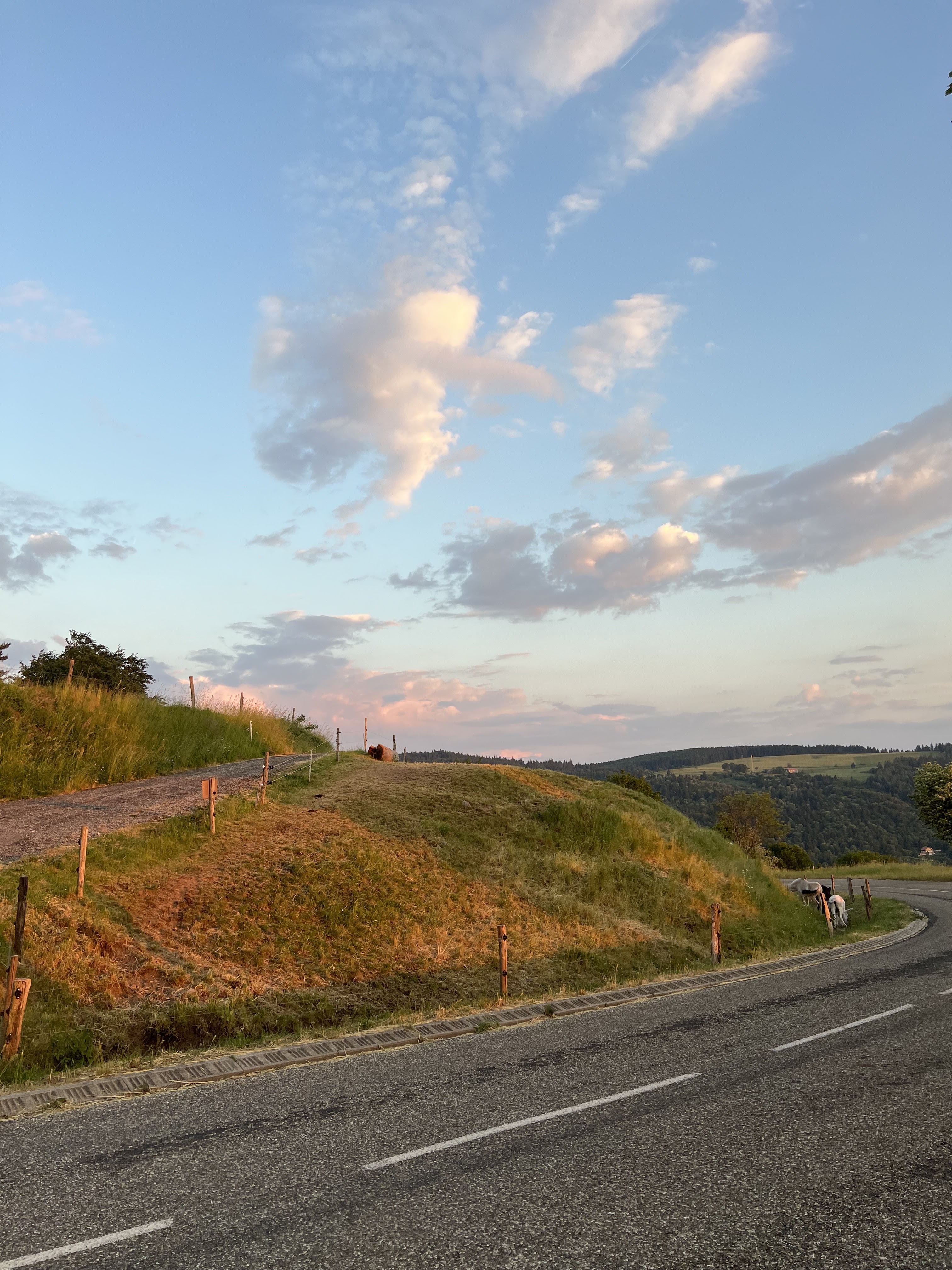 Photo n° 9 de l'avis de chanelaleroux. fait le 30/10/2018 à 10:54