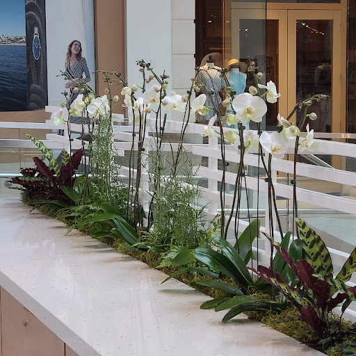 Computer Store «Apple Manhattan Village», reviews and photos, 3200 N Sepulveda Blvd, Manhattan Beach, CA 90266, USA