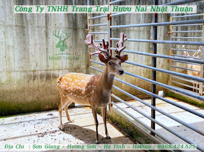 Trang Trại Bán Nhung Hươu Và Hươu Giống Nhật Thuận
