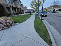 Terriquez Landscaping - Photo 2 - Car repair in , Stockton