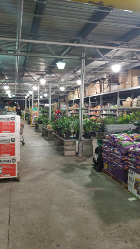 Home Improvement Store «The Home Depot», reviews and photos, 120 S Shary Rd, Mission, TX 78572, USA