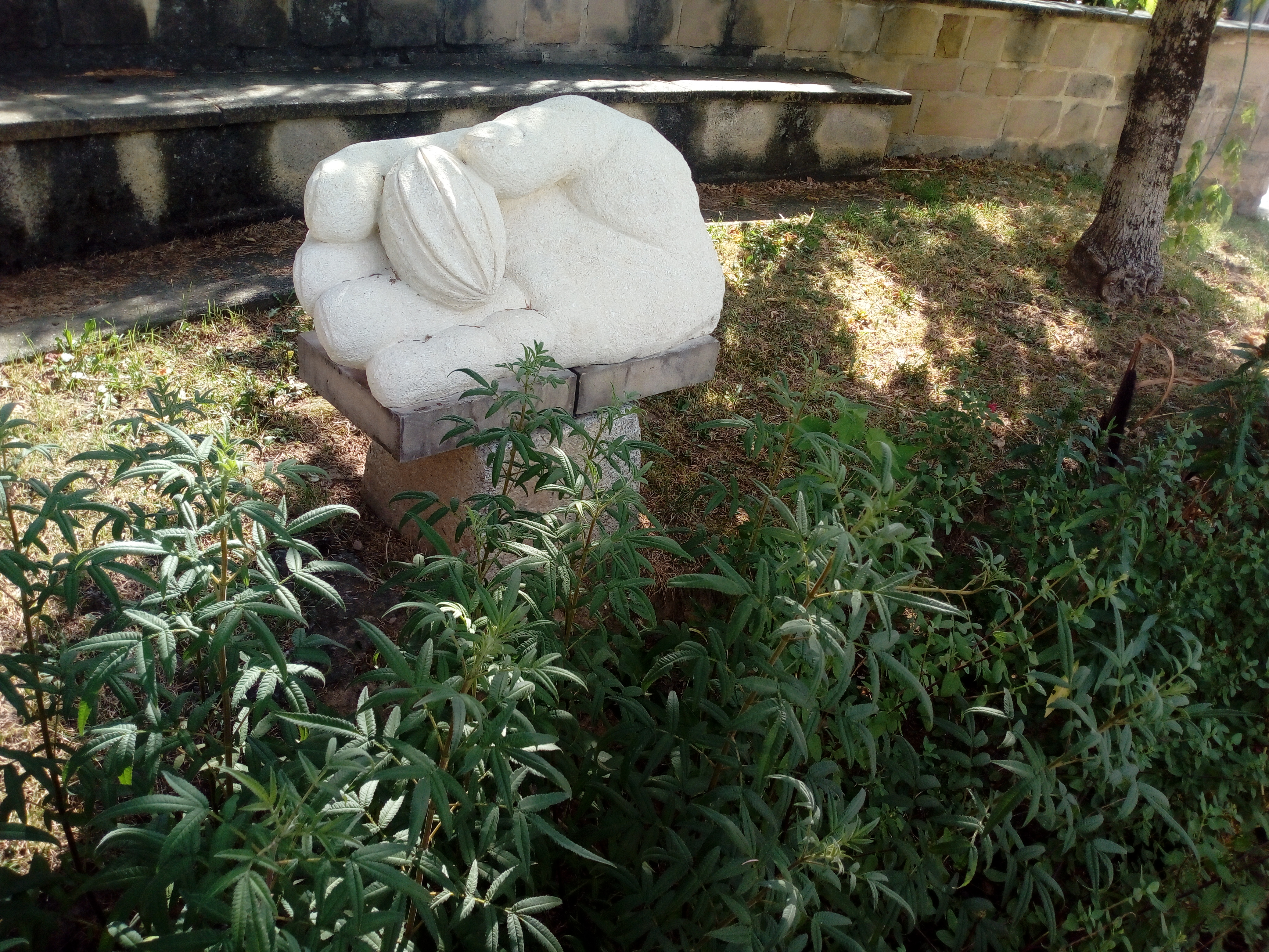Photo n° 3 de l'avis de Delbart.e fait le 12/12/2018 à 13:25