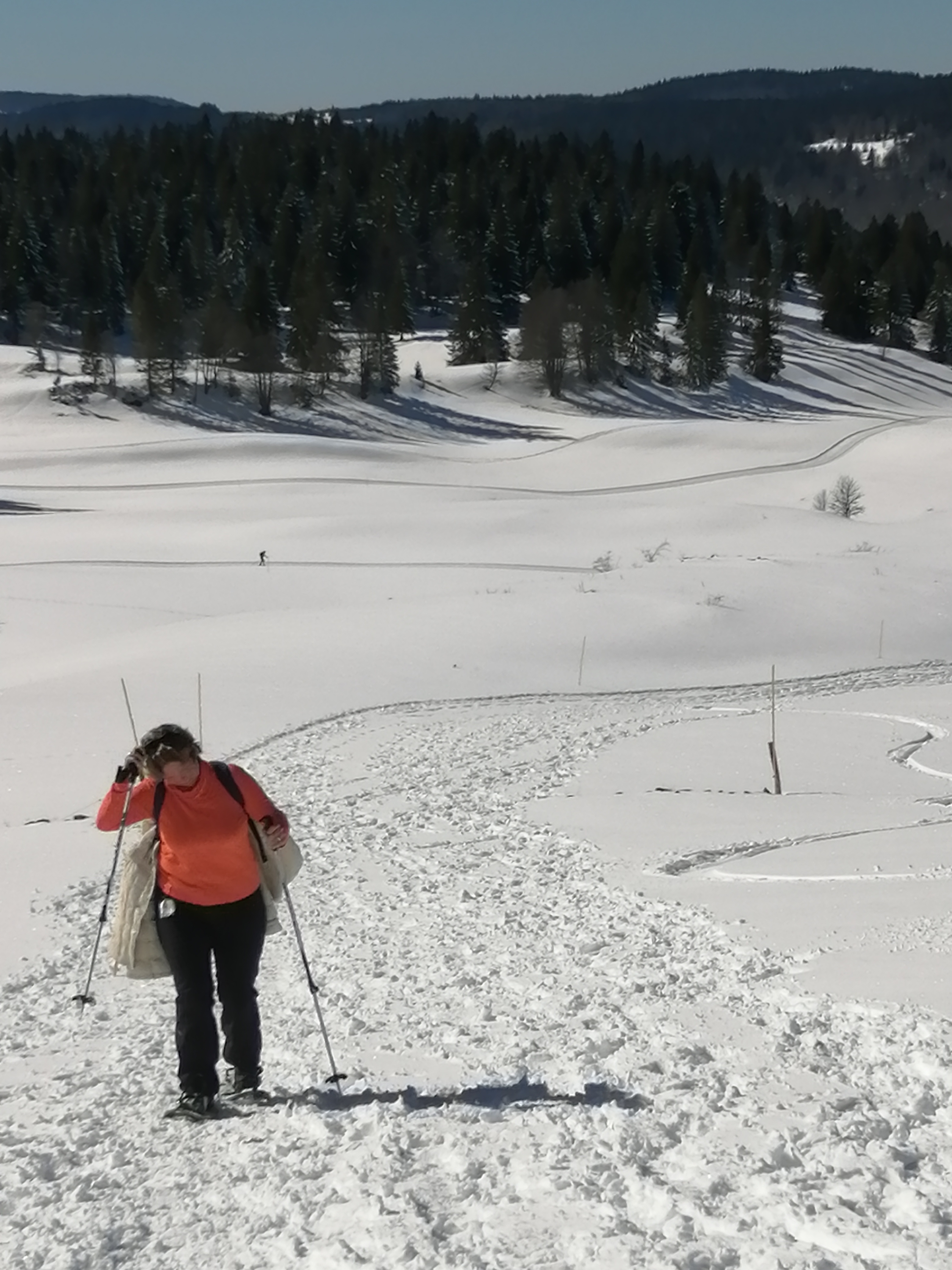 Photo n° 15 de l'avis de paisajes,.i fait le 08/03/2020 à 23:01