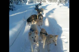 Firewalkers Alaskan Malamute image