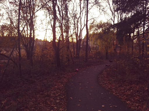 Park «Pioneer Park», reviews and photos, 14545 NW Pioneer Rd, Beaverton, OR 97006, USA