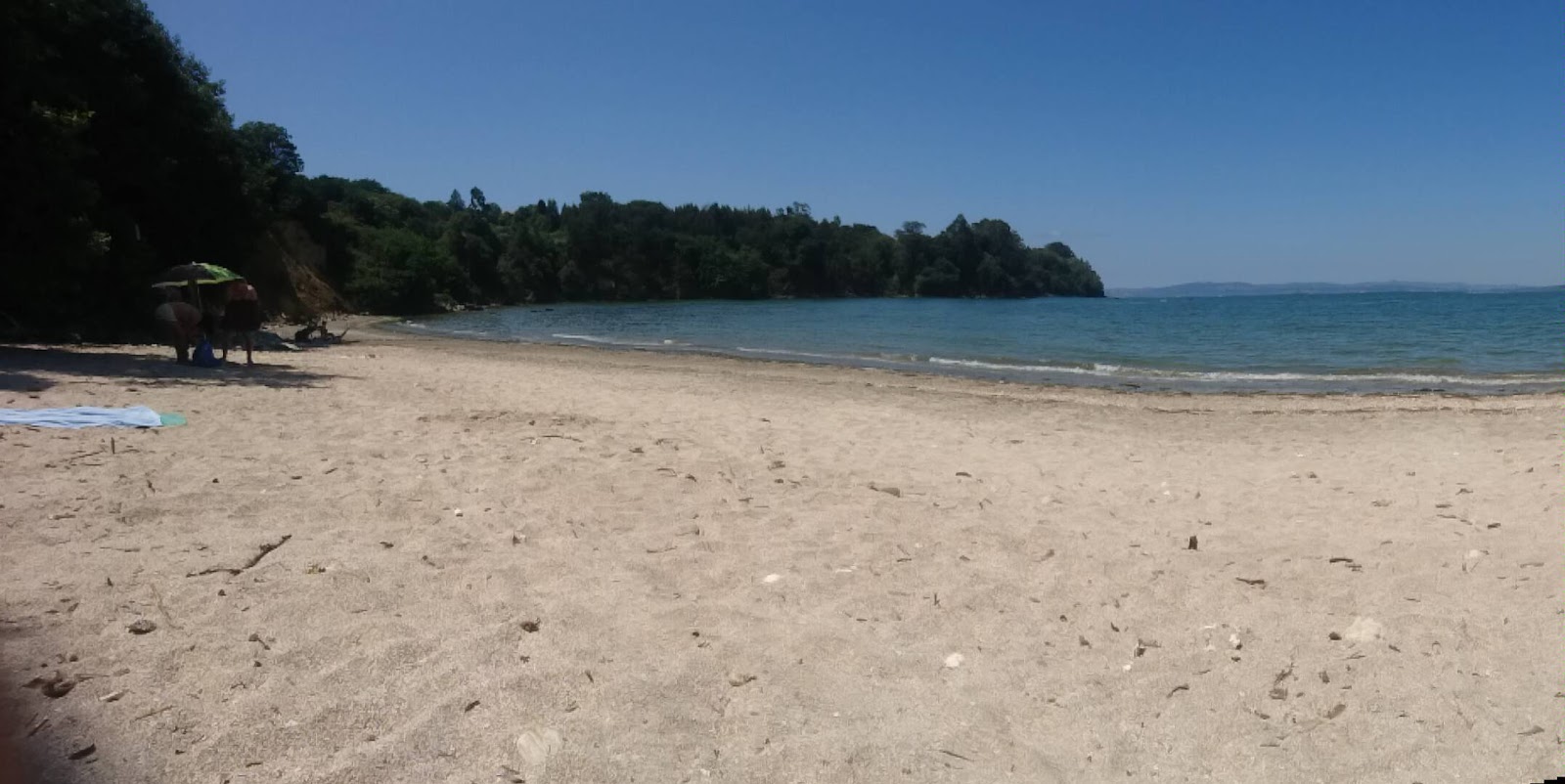 Praia Regueiro'in fotoğrafı vahşi alan