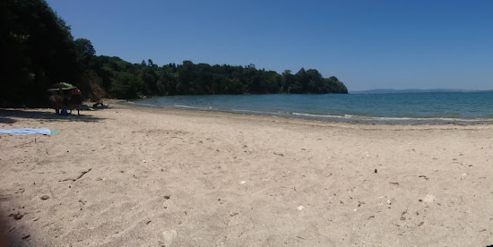 Praia Regueiro