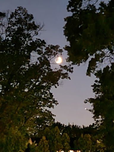 Park «DeHart Park», reviews and photos, 120 Burnett Ave, Maplewood, NJ 07040, USA