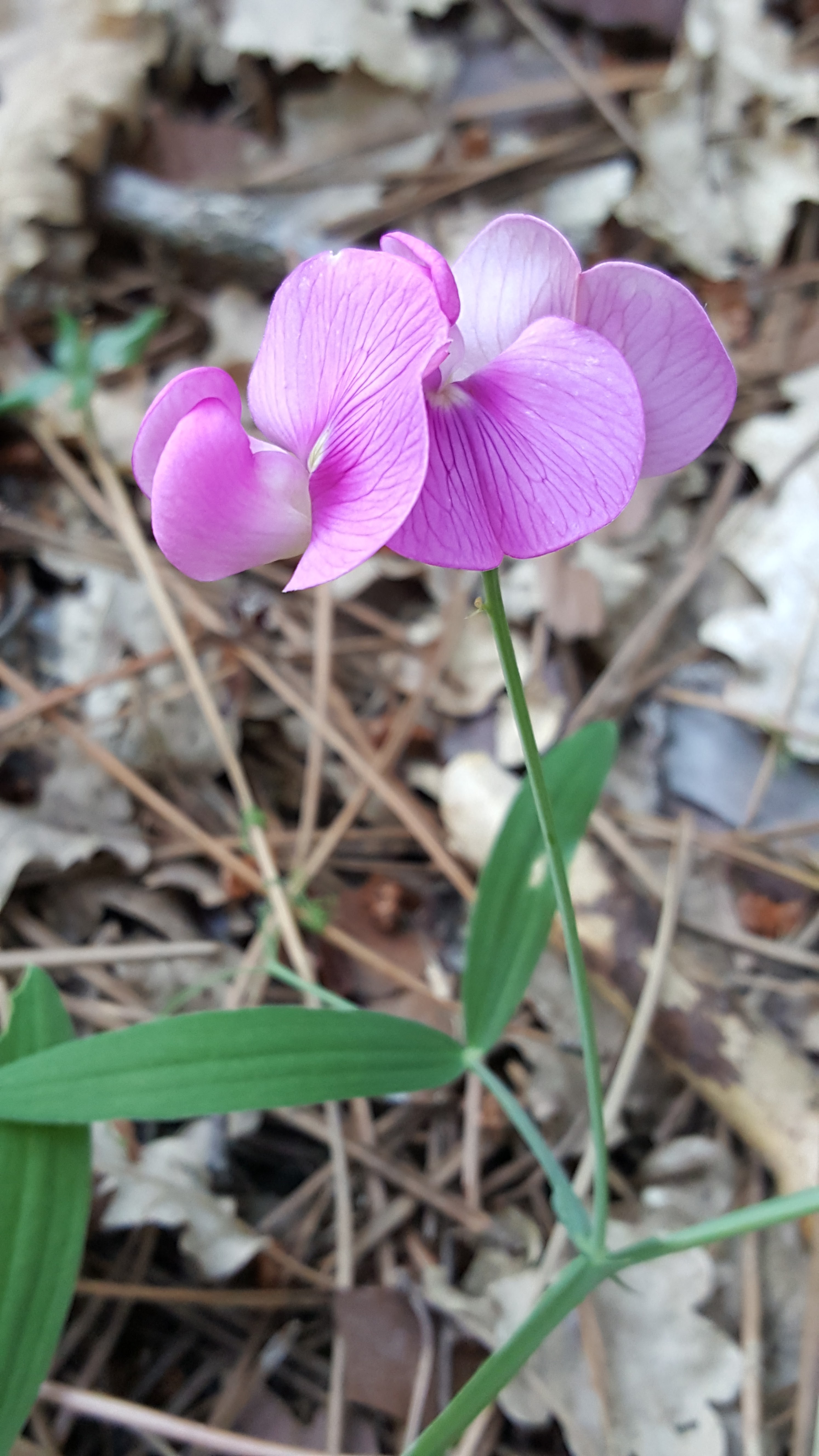 Photo n° 4 de l'avis de Clément.H fait le 18/08/2017 à 04:54