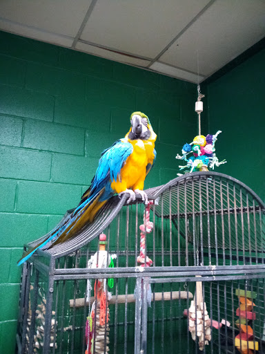 Pet Store «Pet Central», reviews and photos, 1200 Smallhouse Rd, Bowling Green, KY 42104, USA