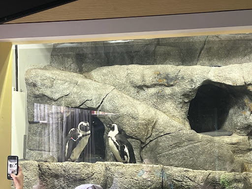 Shopping Mall «Channelside Bay Plaza», reviews and photos, 615 Channelside Dr #117, Tampa, FL 33602, USA