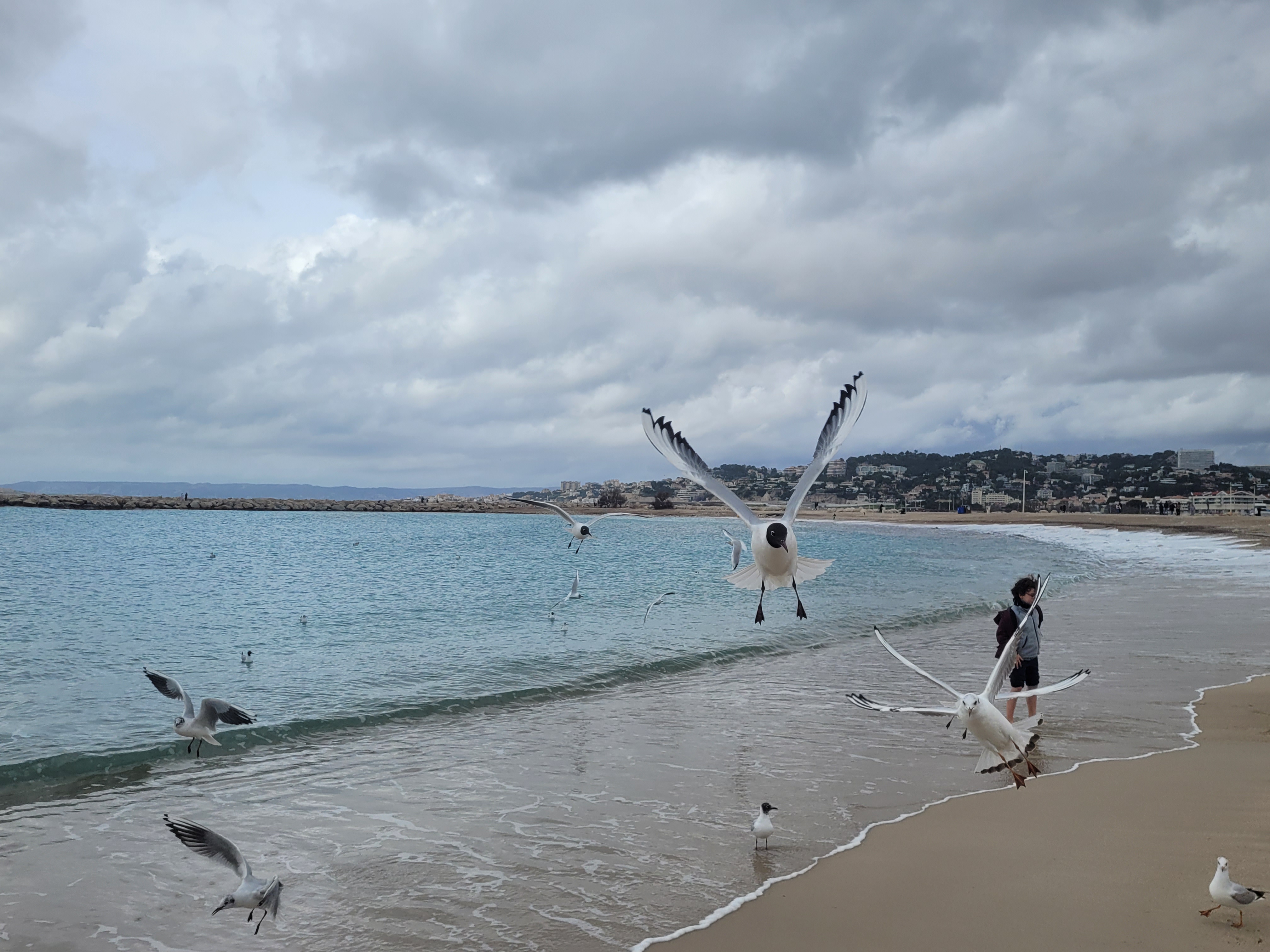 Photo n° 7 de l'avis de Suphie.e fait le 28/02/2024 à 07:22