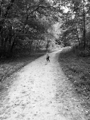 Nature Preserve «Sweet Arrow Reserve», reviews and photos, 789 Little Sugarcreek Rd, Sugarcreek Township, OH 45440, USA