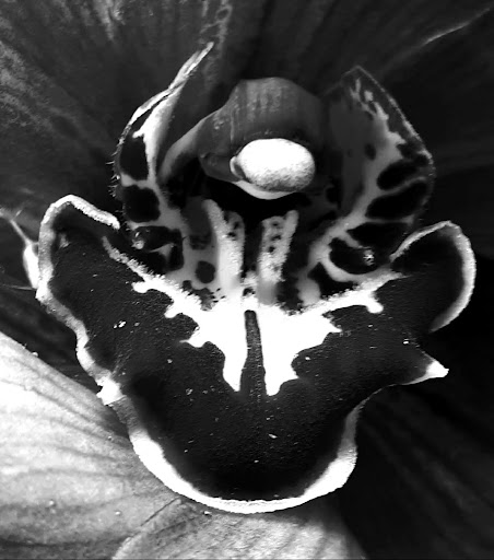 Florist «Always In Bloom», reviews and photos, 48 Bridge St, Etna, PA 15223, USA