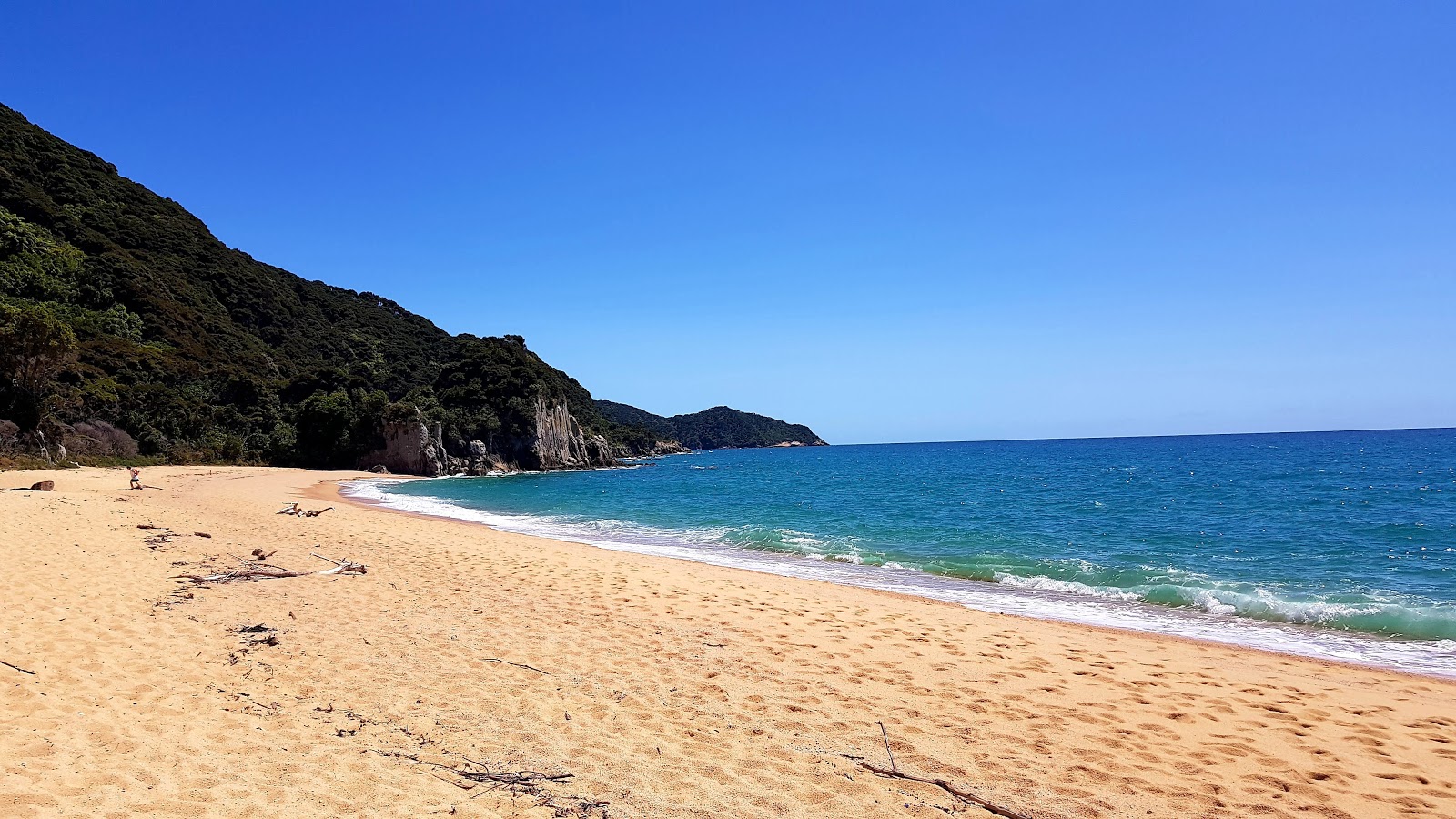 Anapai Beach'in fotoğrafı düz bir kıyı şeridi ile birlikte