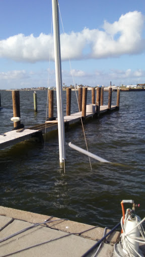 Aquarium «The Aquarium at Rockport Harbor, Inc.», reviews and photos, 706 Navigation Cir, Rockport, TX 78382, USA