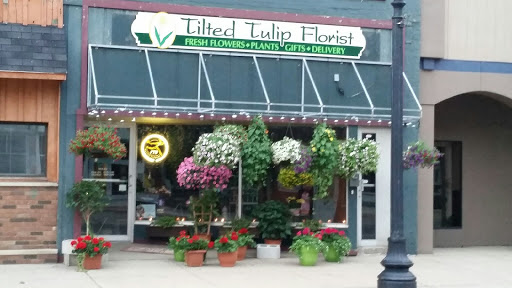 TILTED TULIP FLORIST, 68 W Chicago St, Coldwater, MI 49036, USA, 