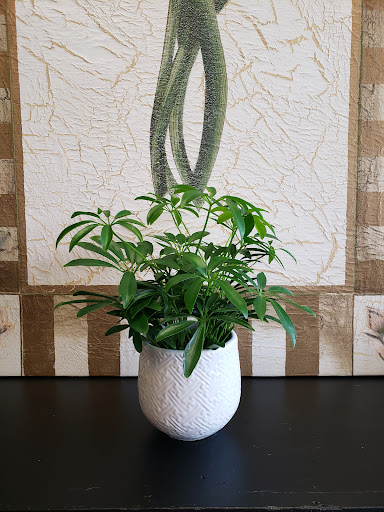 Florist «Village Florist», reviews and photos, 49 Main St, Toms River, NJ 08753, USA