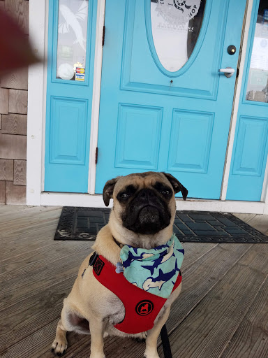 Coffee Shop «Dancing Turtle Coffee Shop», reviews and photos, 58079 NC-12, Hatteras, NC 27943, USA