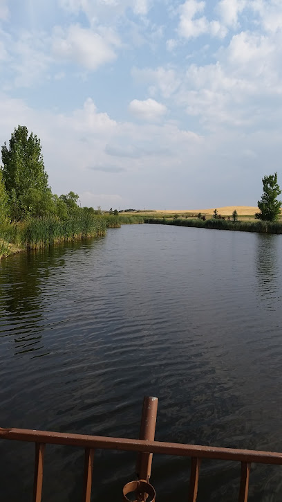 Belfield Pond Fishing Access