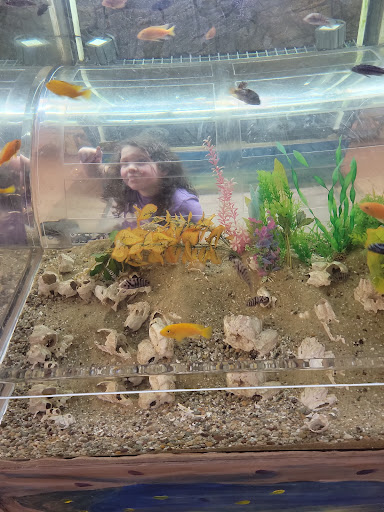 Aquarium «Biomes Marine Biology Center», reviews and photos, 6640 Post Rd, North Kingstown, RI 02852, USA