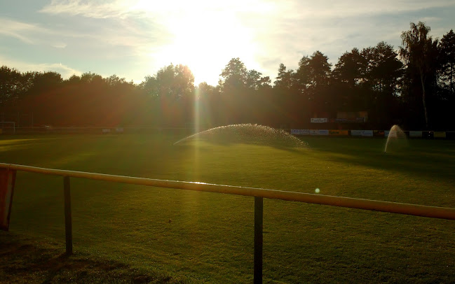 Restaurace Buldok - Restaurace