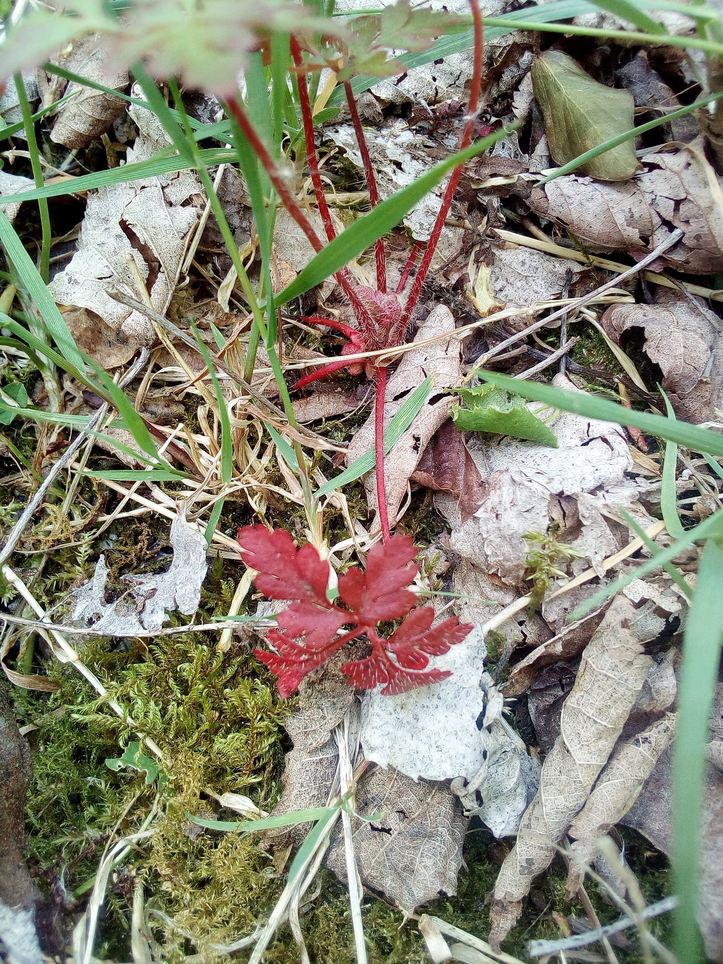 Photo n° 5 de l'avis de Cathy.u fait le 06/05/2018 à 20:53